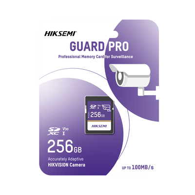 Memoria SD Clase 10 de 256 GB / Especializada Para