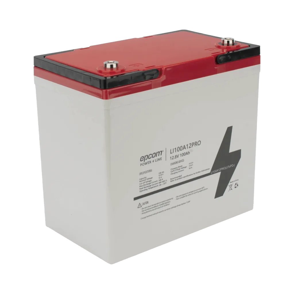 LI100A12PRO-AD-2-h.webp