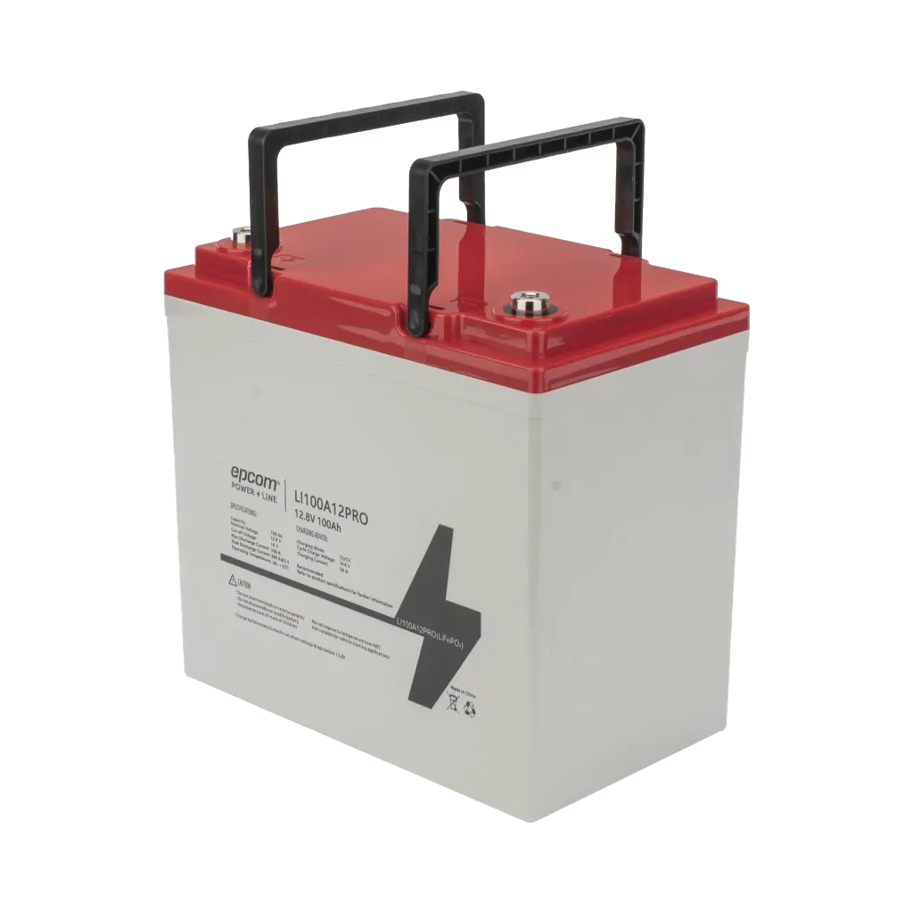 LI100A12PRO-AD-1-h.webp