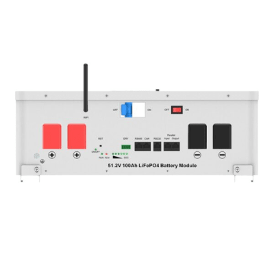 Batería de Litio Ferrofosfato LiFePO4  100Ah 51.2V /