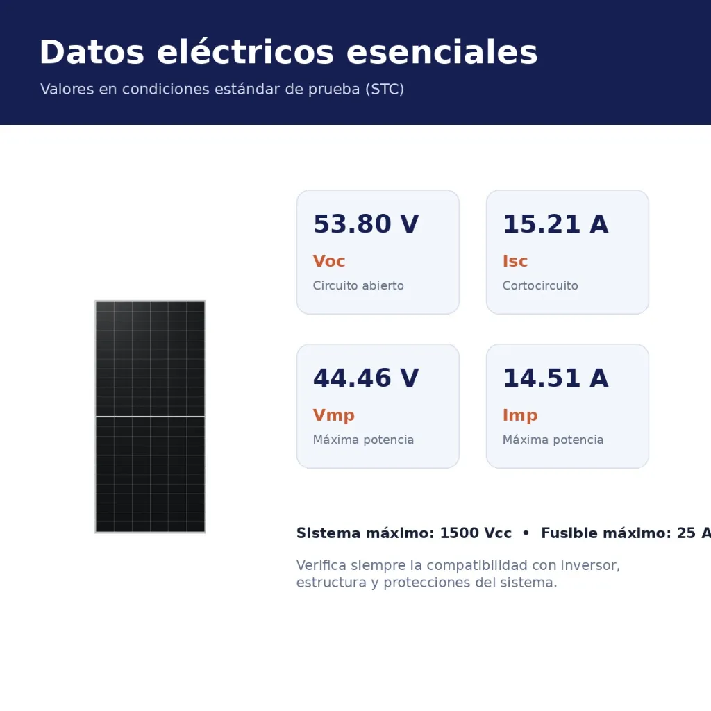 04-longi-datos-electricos.webp