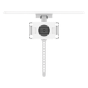 Kit Cámara PT 4G y Wi-Fi / 2K+ (4Megapixel)  / IA
