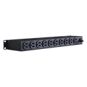 PDU Básico Rack / 10 Salidas NEMA 5-15R / 15 Amp / 120 Vca
