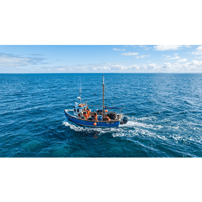 Antena VHF Marina / 4 dBi / 156-163 MHz / Altura 1.1 m (3.61